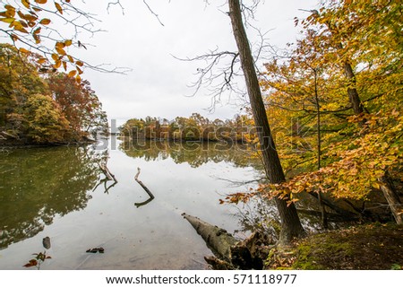 Autumn Trees Lake Side on Wye Island in Baltimore, Maryland