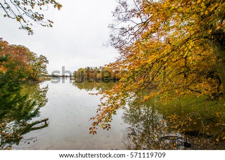 Autumn Trees Lake Side on Wye Island in Baltimore, Maryland