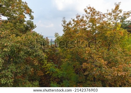 Autumn trees in the mountain in Seoul