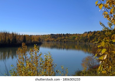 Autumn Trees At The North Saskatchewan River