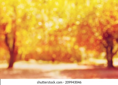 autumn trees out of focus, natural bokeh background 
