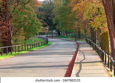 Autumn Trees In The Phoenix Park In Dublin