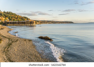 Autumn Trees With Rich Color Above The Shoreline In West Seattle, Wshington.