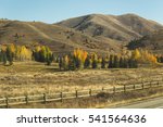 Autumn trees, rolling hills, wooden fence, and dry grass. Near Sun Valley, Idaho, USA.