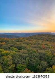 Autumn Trees From Tucker County, West Virginia