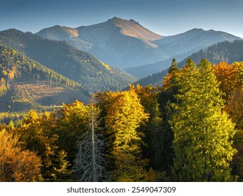 Autumn trees with vibrant yellow and green leaves stand in foreground. Mountain range with clear sky is seen in background. Sunlight highlights peaks and foliage - Powered by Shutterstock