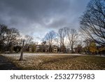 Autumn trees with yellow leaves in fall in Dundonald park of Centretown. Centretown is a residential bourough of Ottawa, in the city center.