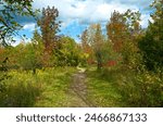 Autumn at Trent University Nature Area along one of the many nature trails showing the beauty when the season moves into autumn.