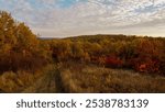 autumn in the Ukrainian forest-steppes, yellow colors adorning all the trees.