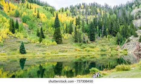 Autumn At Vail Pass Colorado