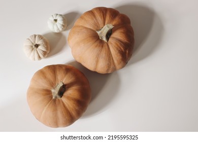 Autumn vegetable composition. Fresh food still life made of small white and orange pumpkins iolated on beige table background. Fall, Halloween and Thanksgiving design. Flat lay, top view. Copy space.