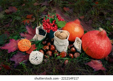 Autumn Vegetables, Berries And Nuts Lie On Dry Grass. Decoration Or Background For Halloween Or Harvest Festival. View From Above.