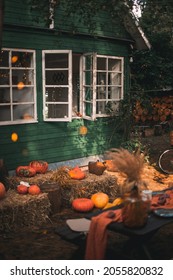 Autumn Vibes With Pumpkins And Apples