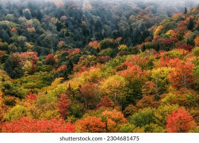 Autumn view along the Highland Scenic Highway, a National Scenic Byway, Pocahontas County, West Virginia, USA