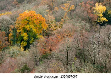 Autumn View From Eagle's Nest, Wye Valley