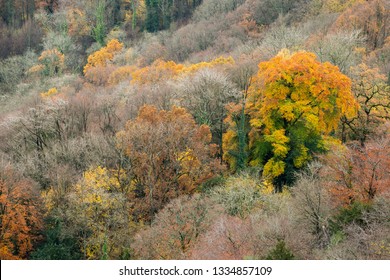 Autumn View From Eagle's Nest, Wye Valley