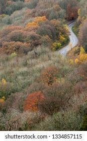 Autumn View From Eagle's Nest, Wye Valley