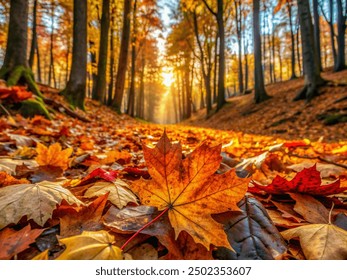 autumn view in the forest yellow leaves at sunset - Powered by Shutterstock