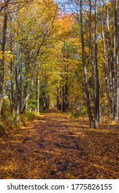 An Autumn View Of The Henry Hudson Trail In Monmouth County New Jersey.