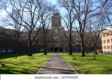 Autumn View In Hokkaido University