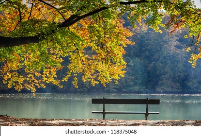 Autumn View Of Lake , Trees And Bench