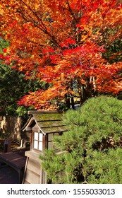 Autumn view of the landmark Portland Japanese Garden in Portland, Oregon  - Shutterstock ID 1555033013