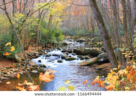 Autumn View Little River Hiking Trail Stock Photo Edit Now