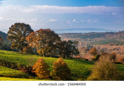 Autumn view over the high weald towards the south downs in east Sussex south east England UK - Shutterstock ID 1560484505