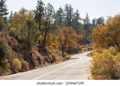 Autumn View Of A Road In Lake Arrowhead, CA.