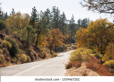 Autumn View Of A Road In Lake Arrowhead, CA.