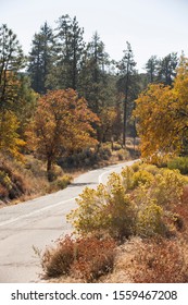 Autumn View Of A Road In Lake Arrowhead, CA.