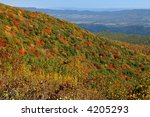 Autumn View From Spruce Knob at Monogahela National Park West Virginia