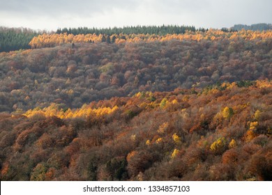 Autumn View From Symonds Yat Rock, Wye Valley