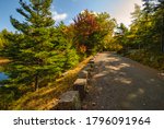 Autumn Views from Carriage Path in Acadia National Park on Mount Desert Island in Maine, USA