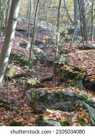 Autumn Views In Northeastern Pennsylvania