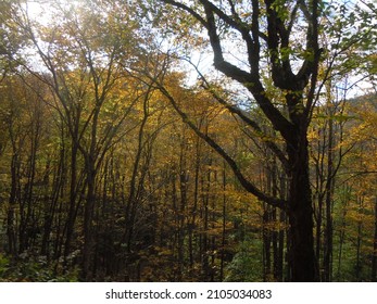 Autumn Views In Northeastern Pennsylvania