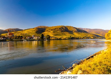 Autumn Vineyard In Wachau Region, Austria