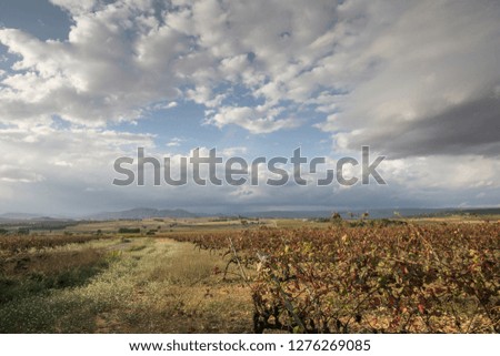 Similar – in Südafrika Naturreservat Teichsee und Busch