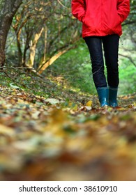 Autumn Walk With Copy Space. Woman Walking In The Forest On A Beautiful Fall Day.