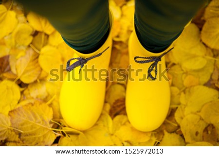 
autumn walk in the forest in yellow rubber boots