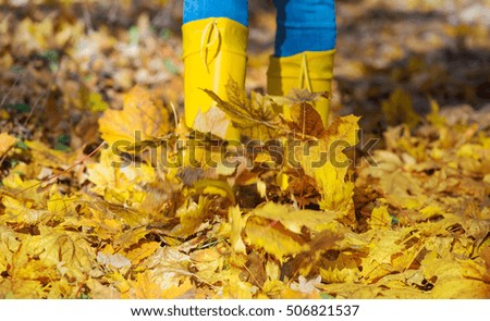 Autumn walk in yellow rubber boots through colorful leaves
