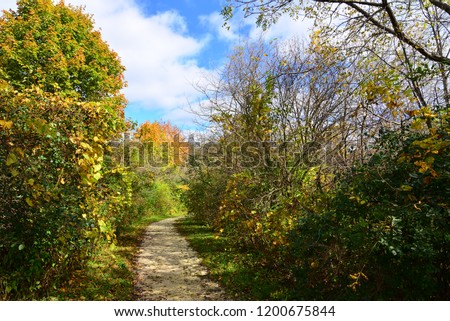 Autumn walking path with fall foilage along the route.
