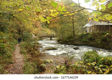 Autumn Water Cascading Down The Rapids Of The River Lyn Whilst Walking Along The Paths Of The National Trust Site Of Watersmeet