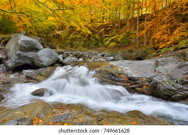 Autumn waterfall and creek woods with yellow trees foliage and rocks in forest mountain - Shutterstock ID 749661628