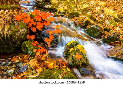 Autumn Waterfall In Mountain River Water