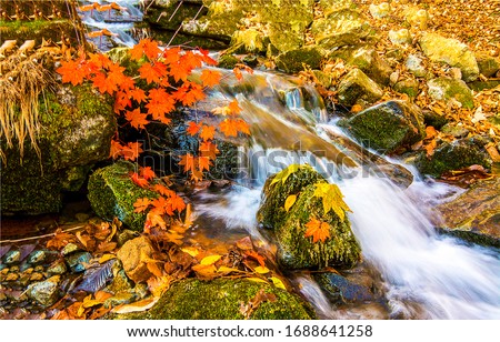 Autumn waterfall in mountain river water