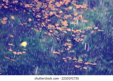 Autumn Weather Rain Landscape, Wet Season Abstract October
