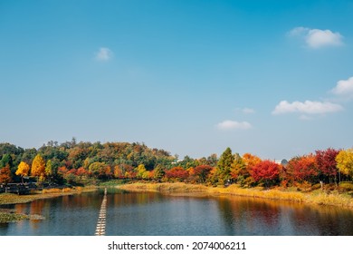 Autumn Of West Seoul Lake Park In Seoul, Korea