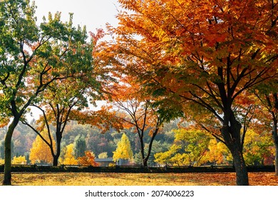 Autumn Of West Seoul Lake Park In Seoul, Korea