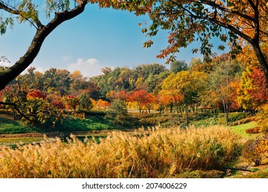 Autumn Of West Seoul Lake Park In Seoul, Korea